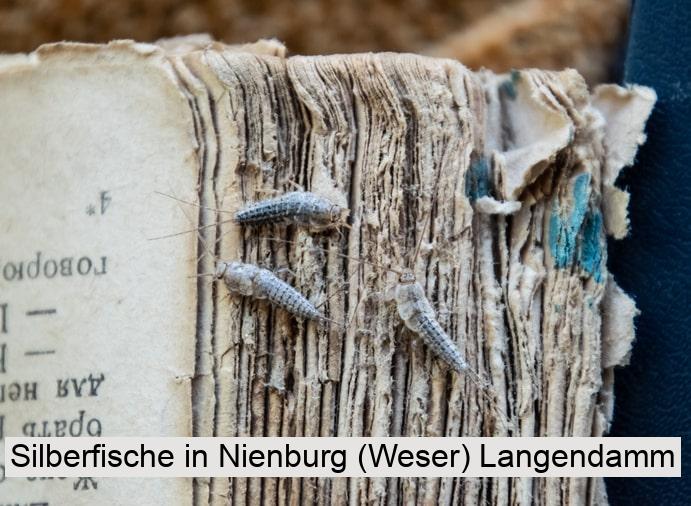 Silberfische in Nienburg (Weser) Langendamm